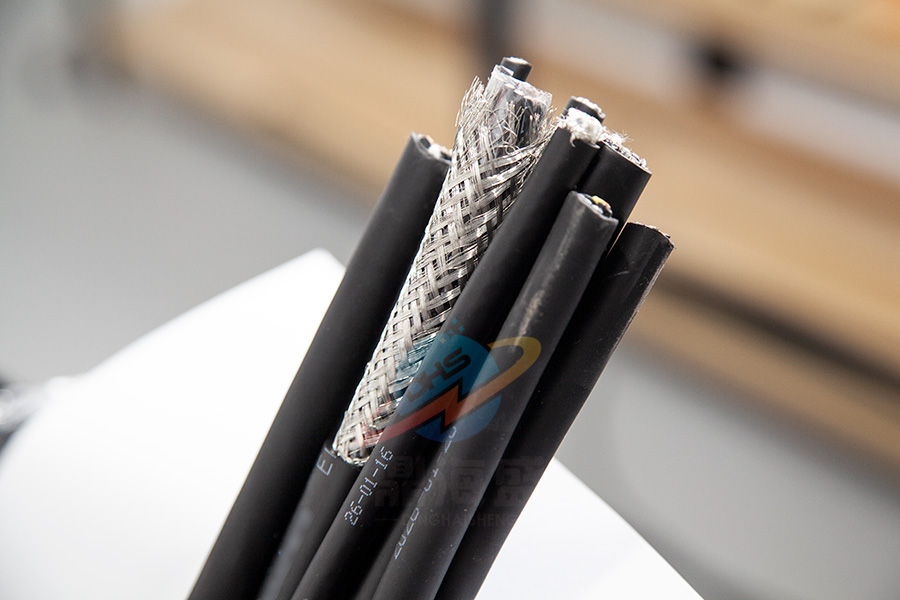 Dinghaisheng focuses on cables with independent production.CHINA